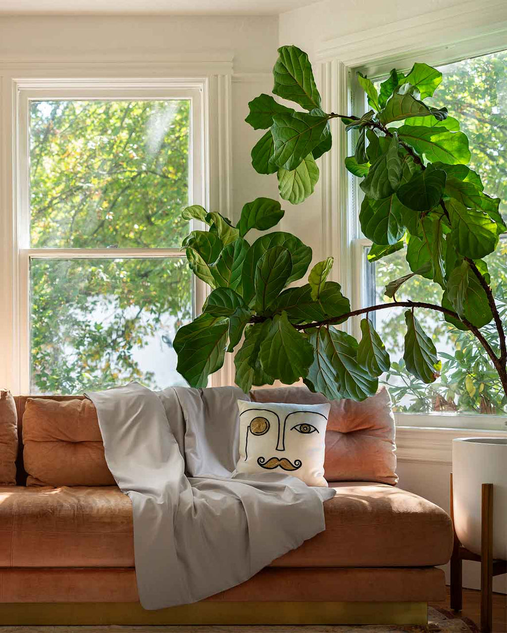 Cotton Duvet Cover