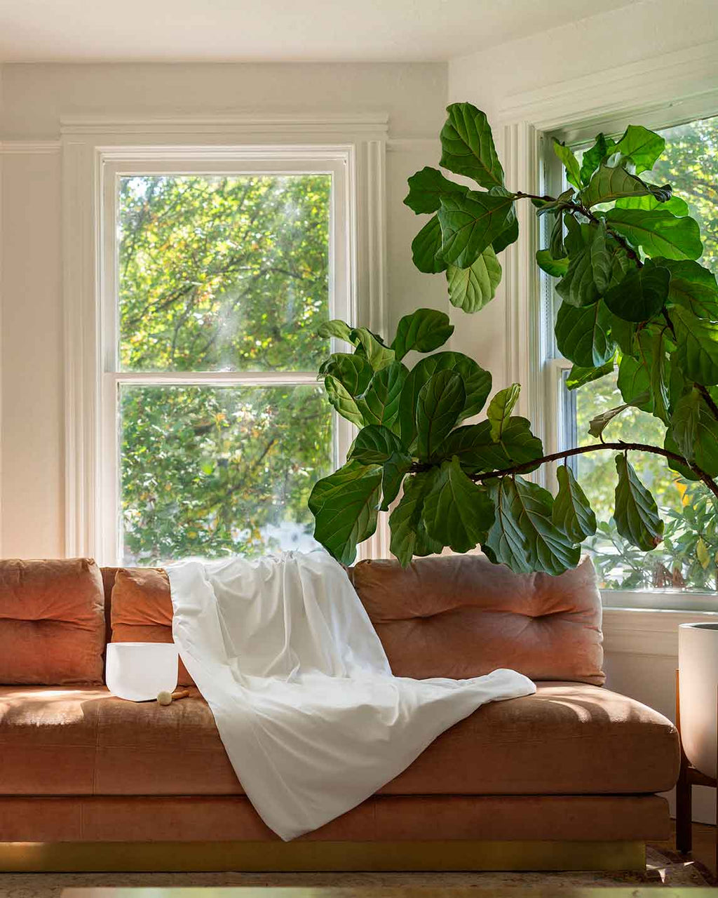 Cotton Duvet Cover