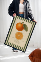 WONDERWALL 'L’Atelier Fun Collection' Vintage Orange Slice Botanical Study