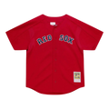 Mitchell & Ness Authentic David Ortiz Boston Red Sox 2004 Men Baseball Jersey Scarlet