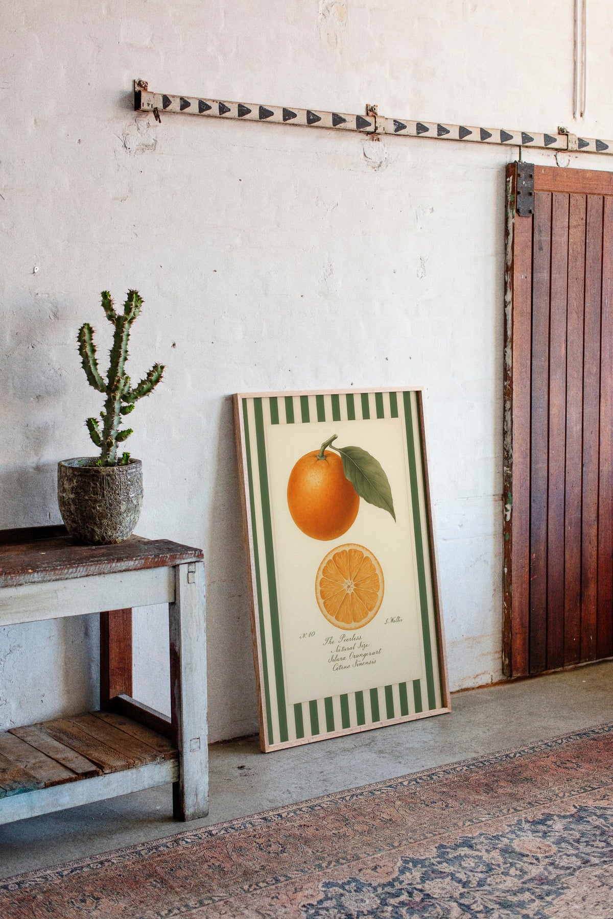 WONDERWALL 'L’Atelier Fun Collection' Vintage Orange Slice Botanical Study