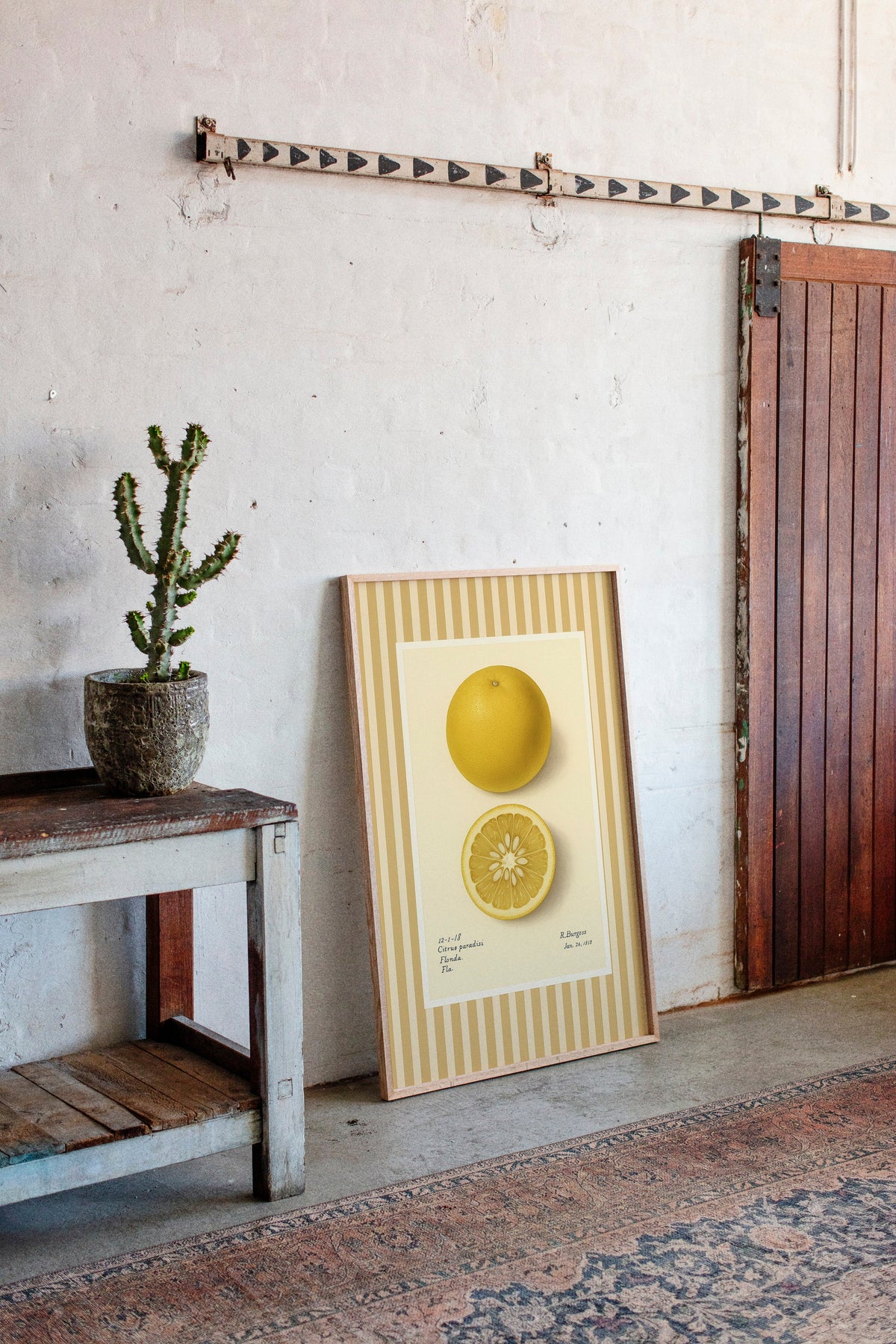 WONDERWALL 'L’Atelier Fun Collection' Florida Grapefruit Vintage Botanical Art