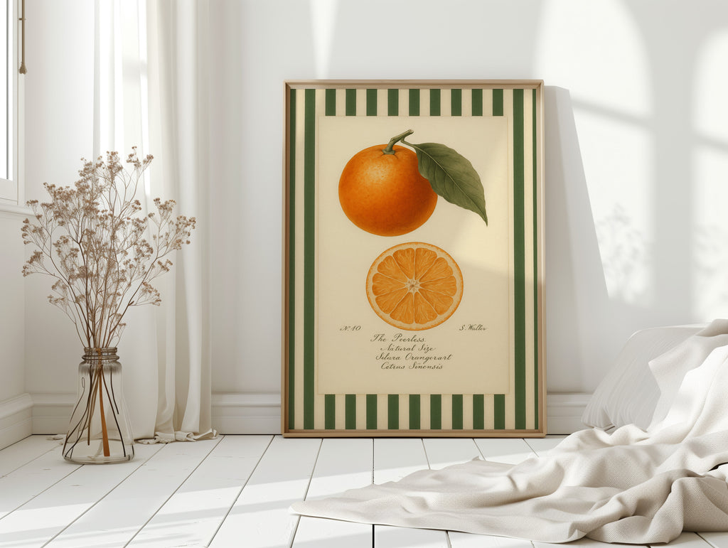 WONDERWALL 'L’Atelier Fun Collection' Vintage Orange Slice Botanical Study