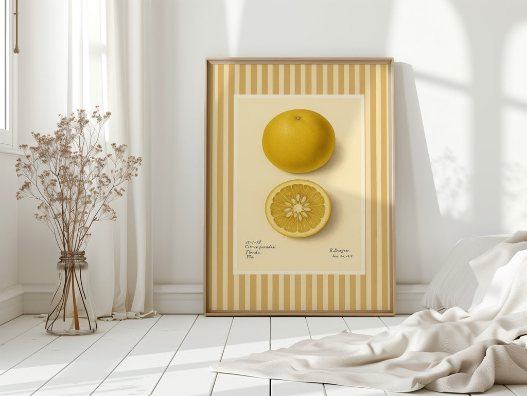 WONDERWALL 'L’Atelier Fun Collection' Florida Grapefruit Vintage Botanical Art