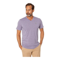 Psycho Bunny Classic V-Neck Men T-Shirt Heather Allium