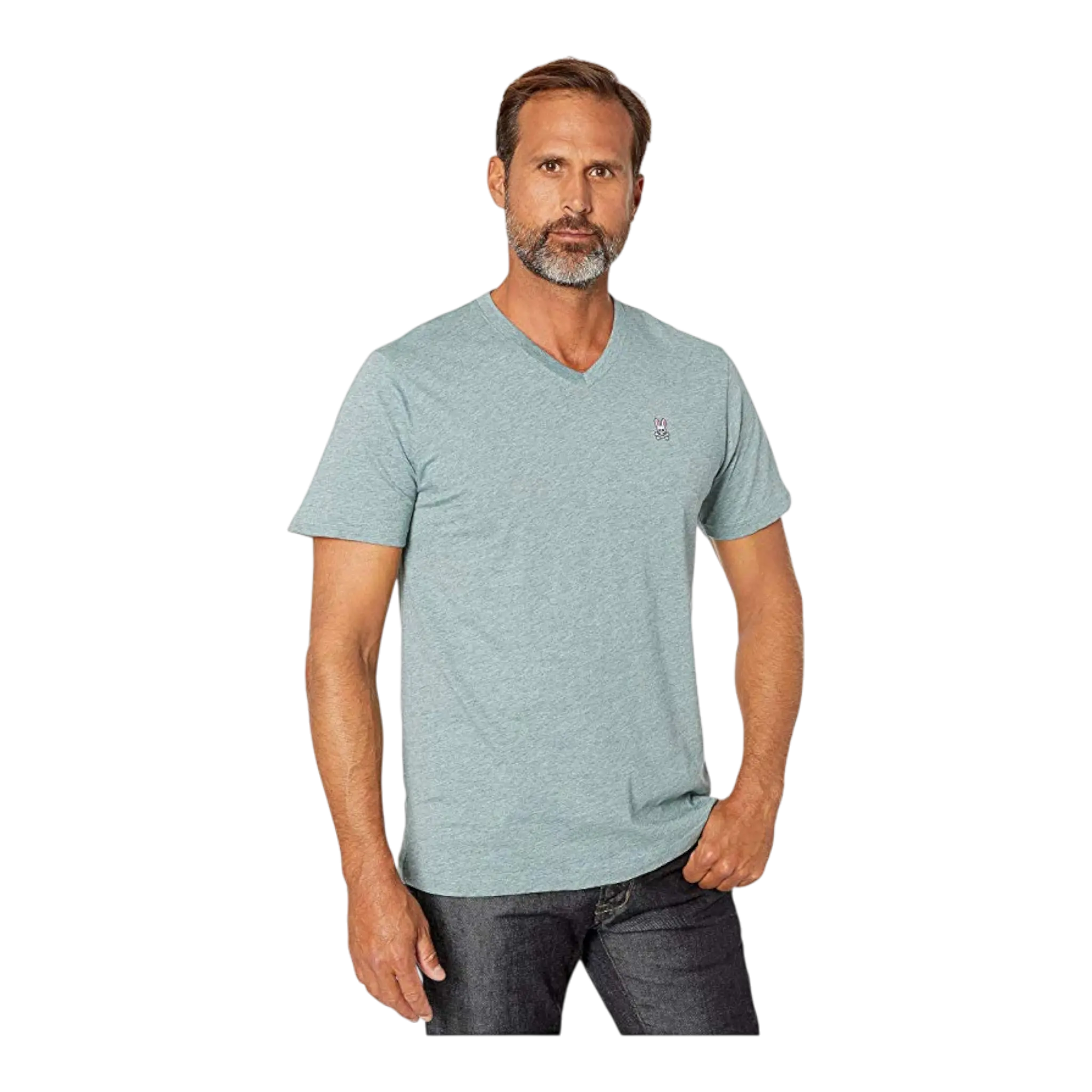 Psycho Bunny Classic V-Neck Men T-Shirt Heather Antigua
