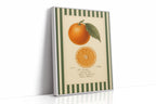 WONDERWALL 'L’Atelier Fun Collection' Vintage Orange Slice Botanical Study