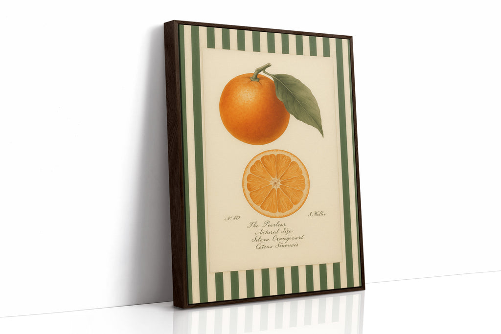 WONDERWALL 'L’Atelier Fun Collection' Vintage Orange Slice Botanical Study