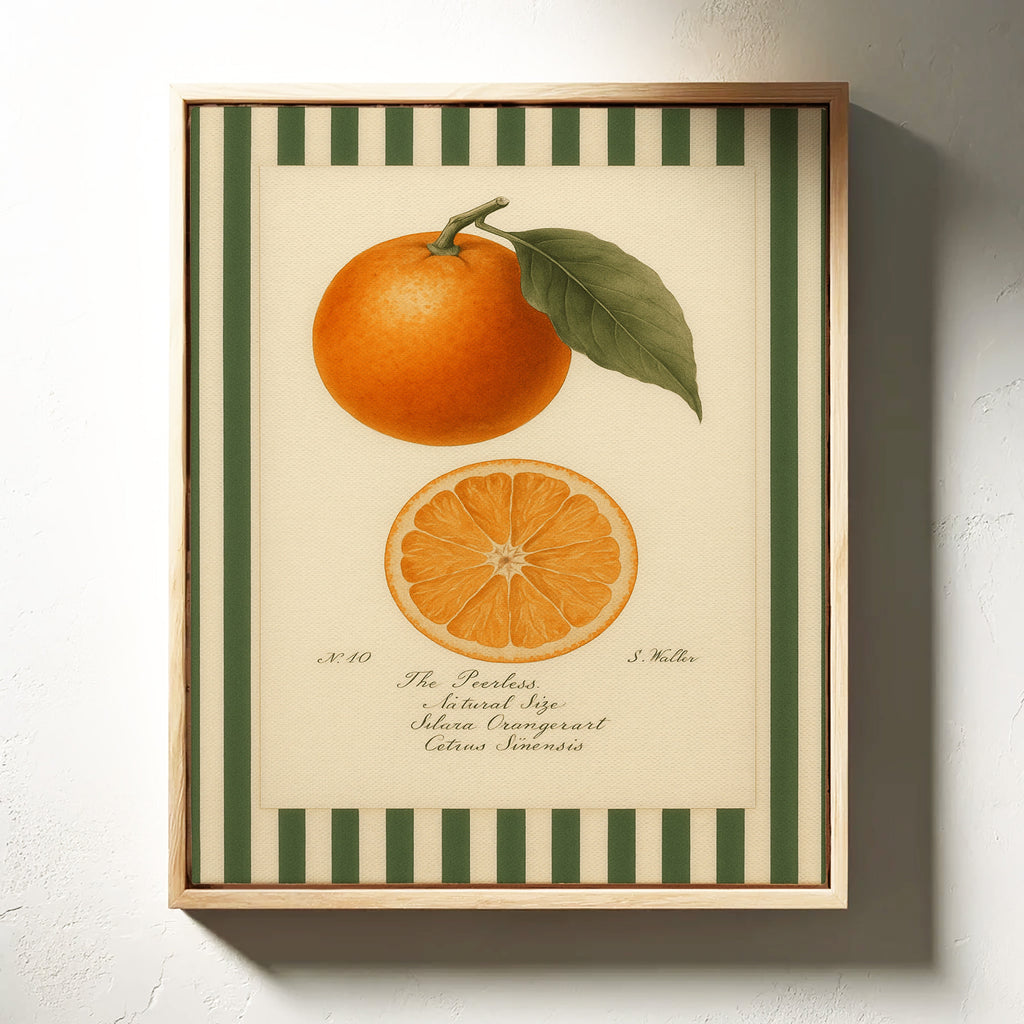 WONDERWALL 'L’Atelier Fun Collection' Vintage Orange Slice Botanical Study