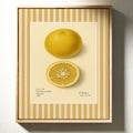 WONDERWALL 'L’Atelier Fun Collection' Florida Grapefruit Vintage Botanical Art