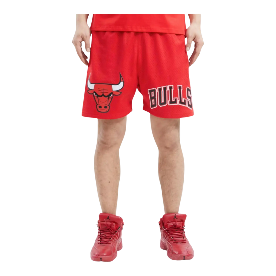Pro Standard NBA Chicago Bulls Logo Men Mesh Shorts Red