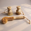 Cup Brush