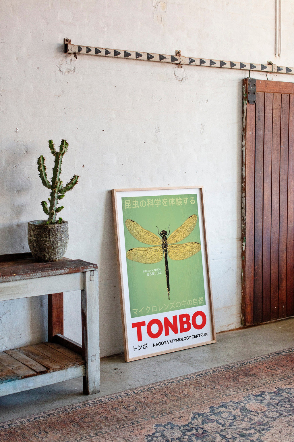 WONDERWALL 'L’Atelier Fun Collection' Tonbo – The Science of Dragonflies