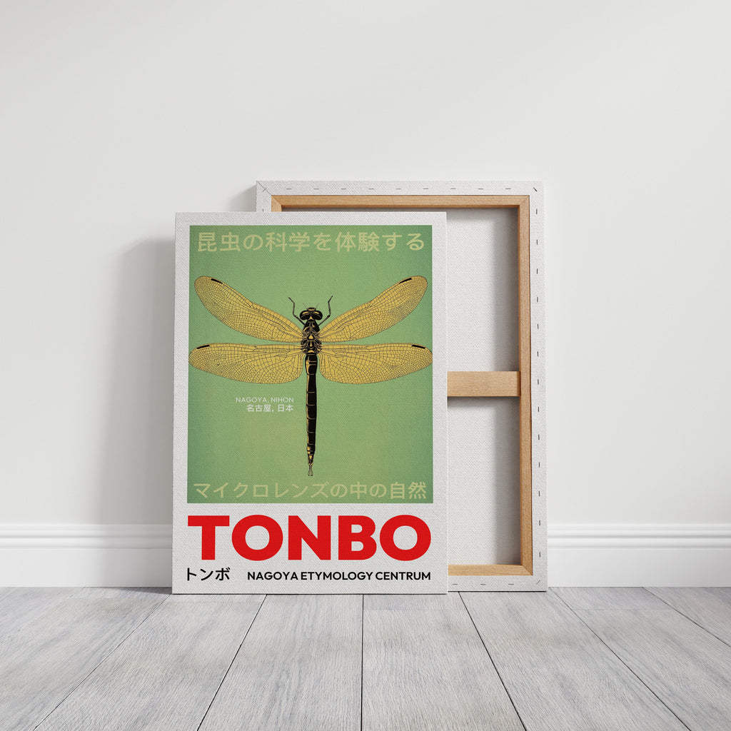 WONDERWALL 'L’Atelier Fun Collection' Tonbo – The Science of Dragonflies