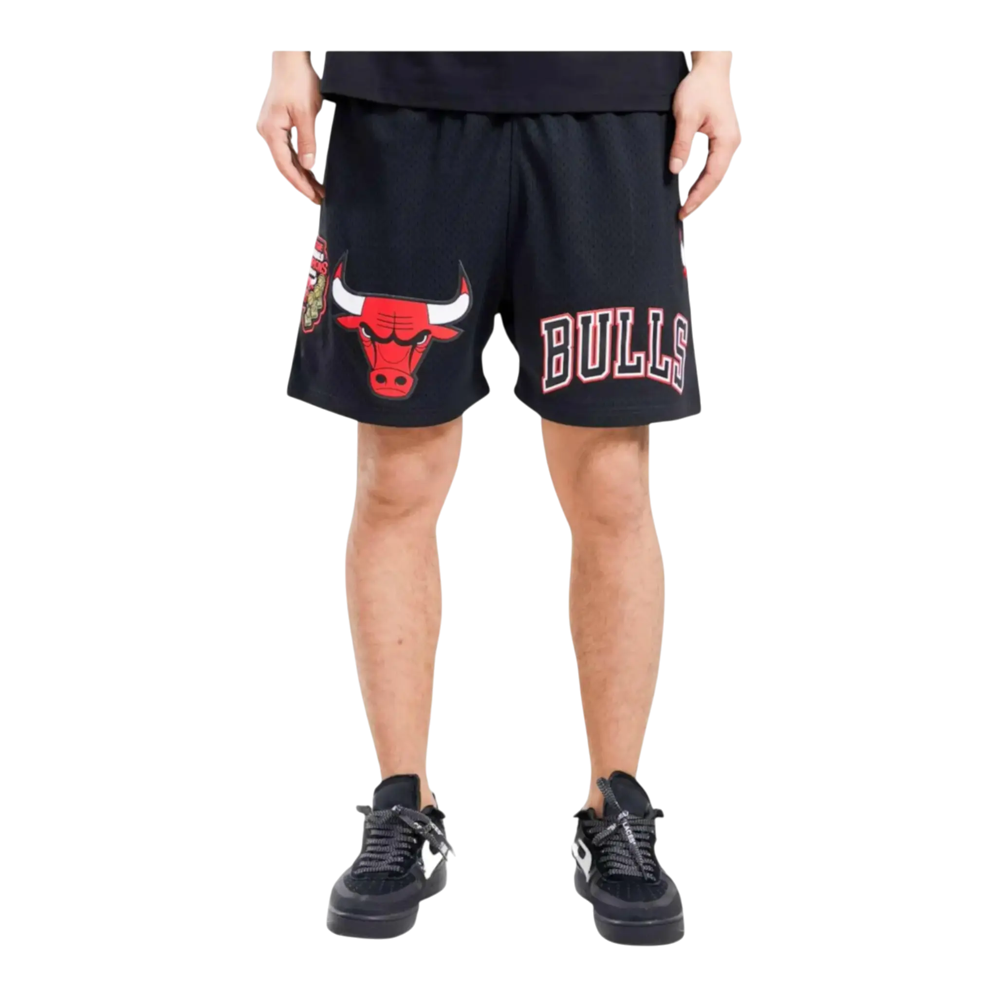 Pro Standard NBA Chicago Bulls Logo Men Mesh Shorts Black
