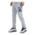 Pro Standard MLB Los Angeles Dodgers Mash Up Logo Men Sweatpants Heather Grey