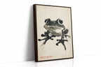 WONDERWALL 'L’Atelier Fun Collection' Zen Frog in Stillness