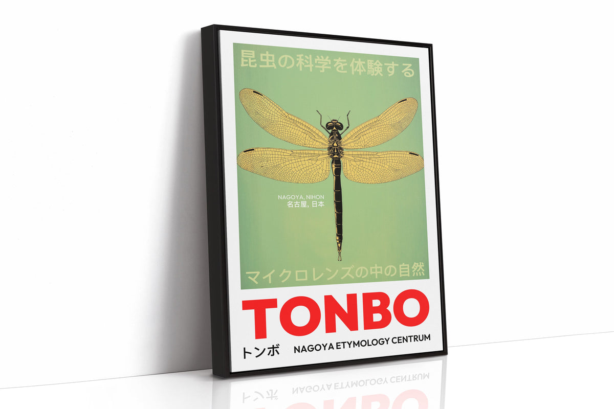 WONDERWALL 'L’Atelier Fun Collection' Tonbo – The Science of Dragonflies