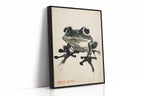 WONDERWALL 'L’Atelier Fun Collection' Zen Frog in Stillness