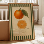 WONDERWALL 'L’Atelier Fun Collection' Vintage Orange Slice Botanical Study