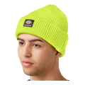 Dickies Skateboarding Cuffed Beanie
