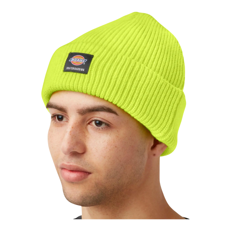 Dickies Skateboarding Cuffed Beanie