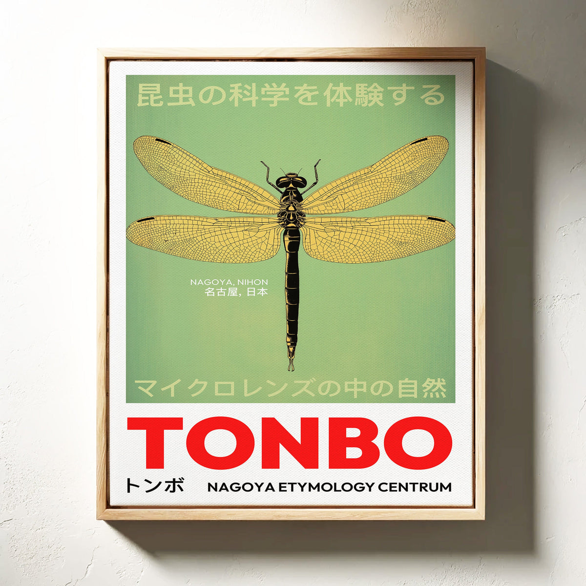 WONDERWALL 'L’Atelier Fun Collection' Tonbo – The Science of Dragonflies