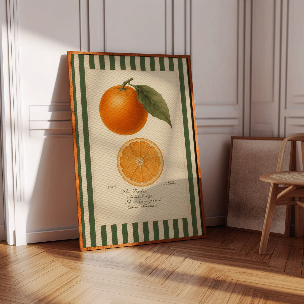 WONDERWALL 'L’Atelier Fun Collection' Vintage Orange Slice Botanical Study