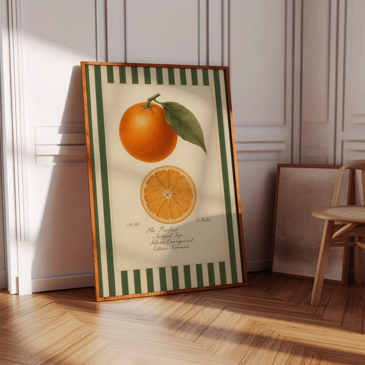 WONDERWALL 'L’Atelier Fun Collection' Vintage Orange Slice Botanical Study