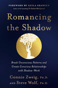 Romancing the Shadow: A Guide to Soul Work