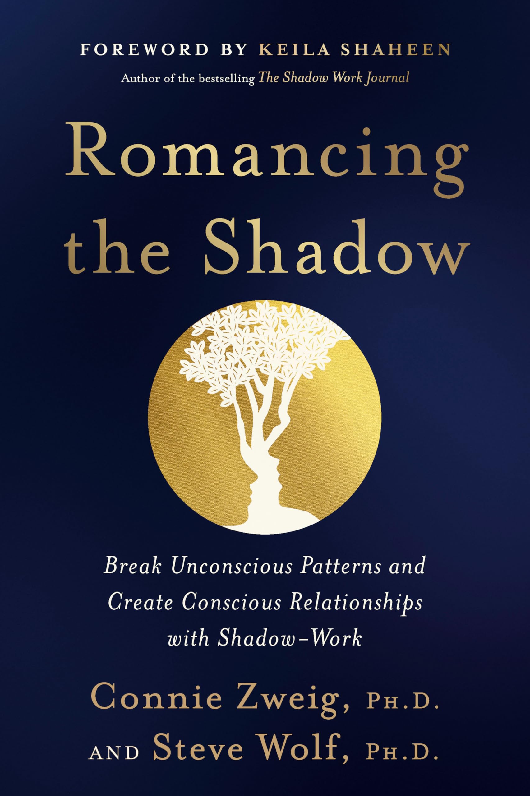 Romancing the Shadow: A Guide to Soul Work