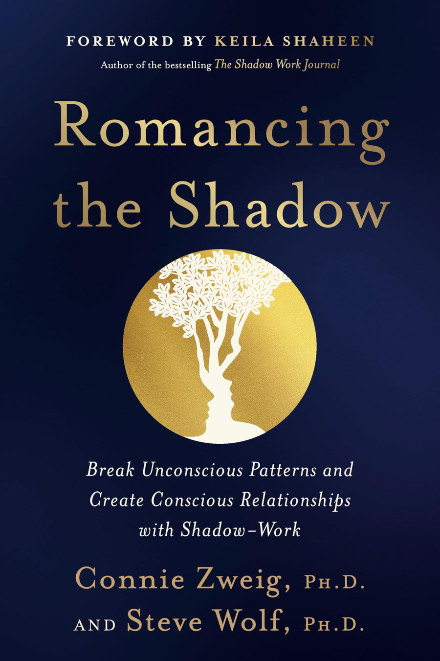 Romancing the Shadow: A Guide to Soul Work