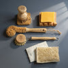 Cup Brush & Citrus Soap