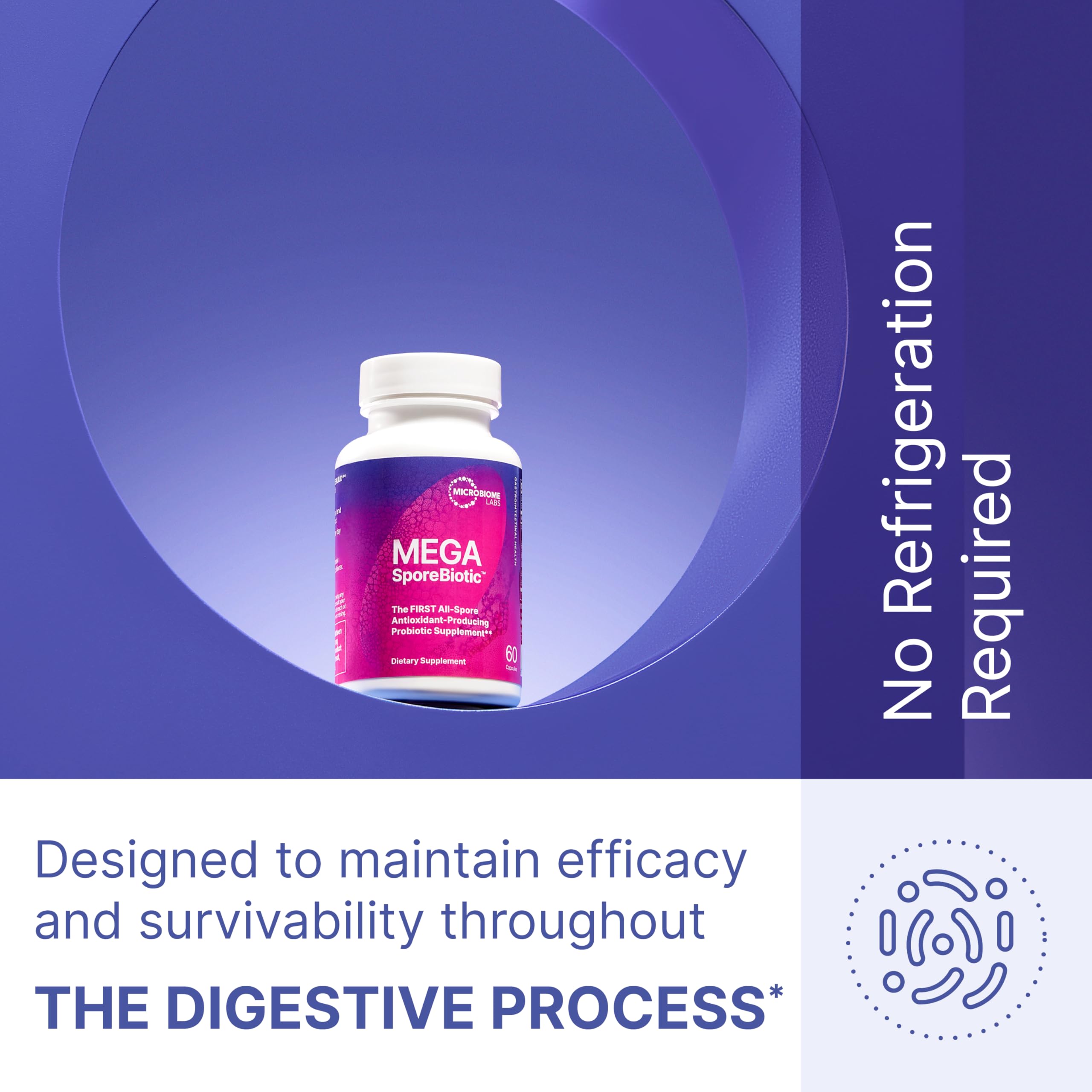 Spore - Based Probiotic for Women & Men | Shelf - Stable Digestive Support | Travel - Friendly
