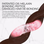 Bondex Clinic II Protein Binding Remodeling Clinic Treatment