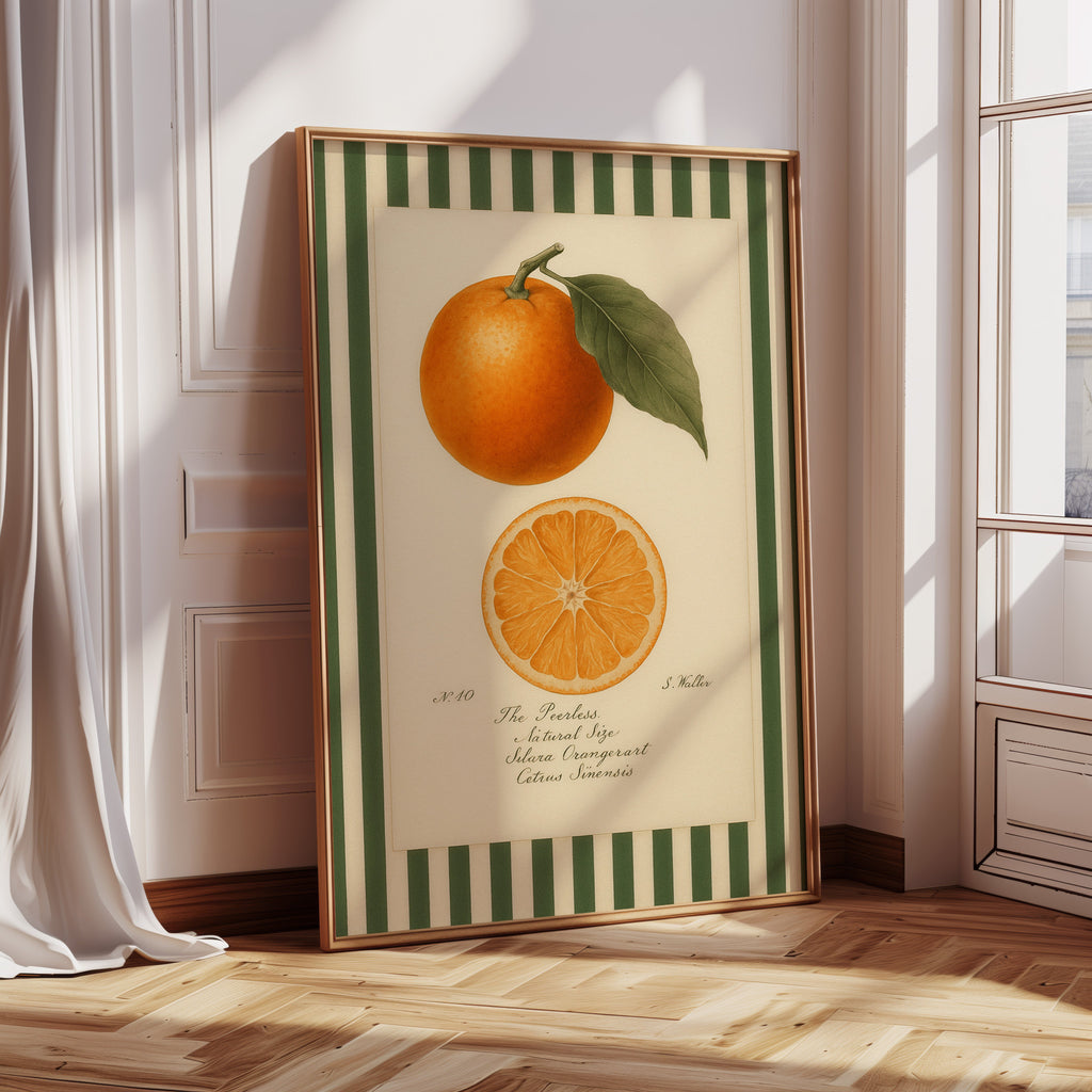 WONDERWALL 'L’Atelier Fun Collection' Vintage Orange Slice Botanical Study