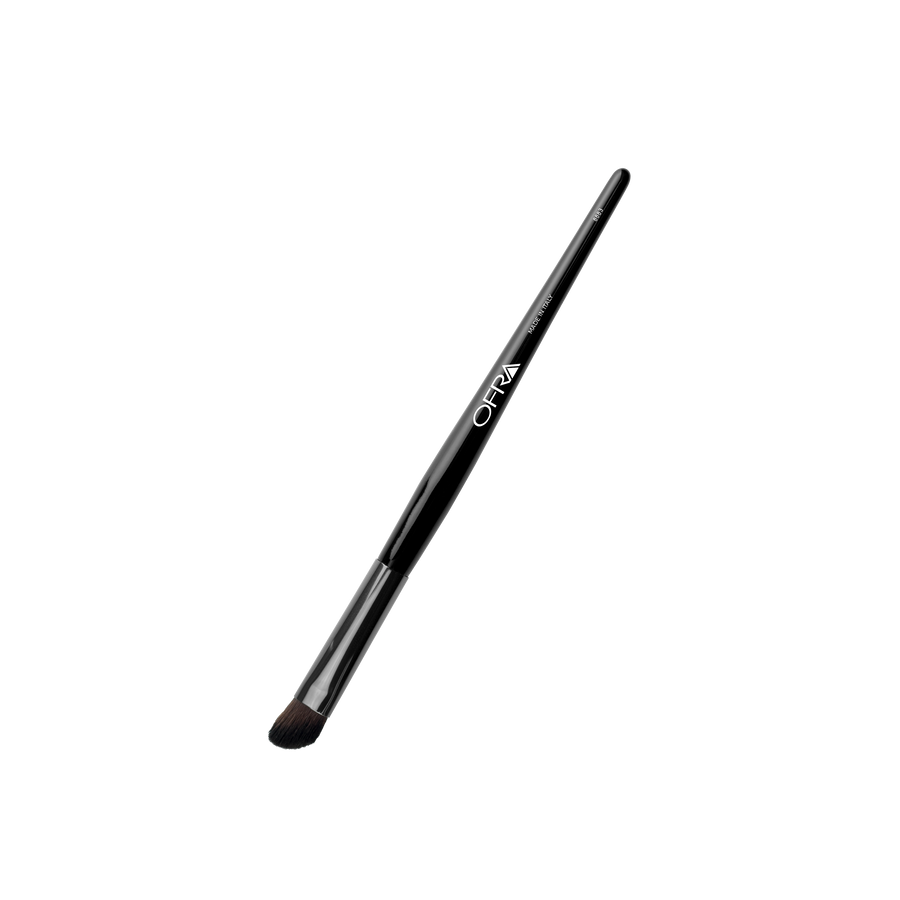 Brush #8883 - Angled Eye