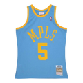 Mitchell & Ness NBA Swingman Alternate Minneapolis Lakers 2001-02 Robert Horry Men Jersey Columbia Blue