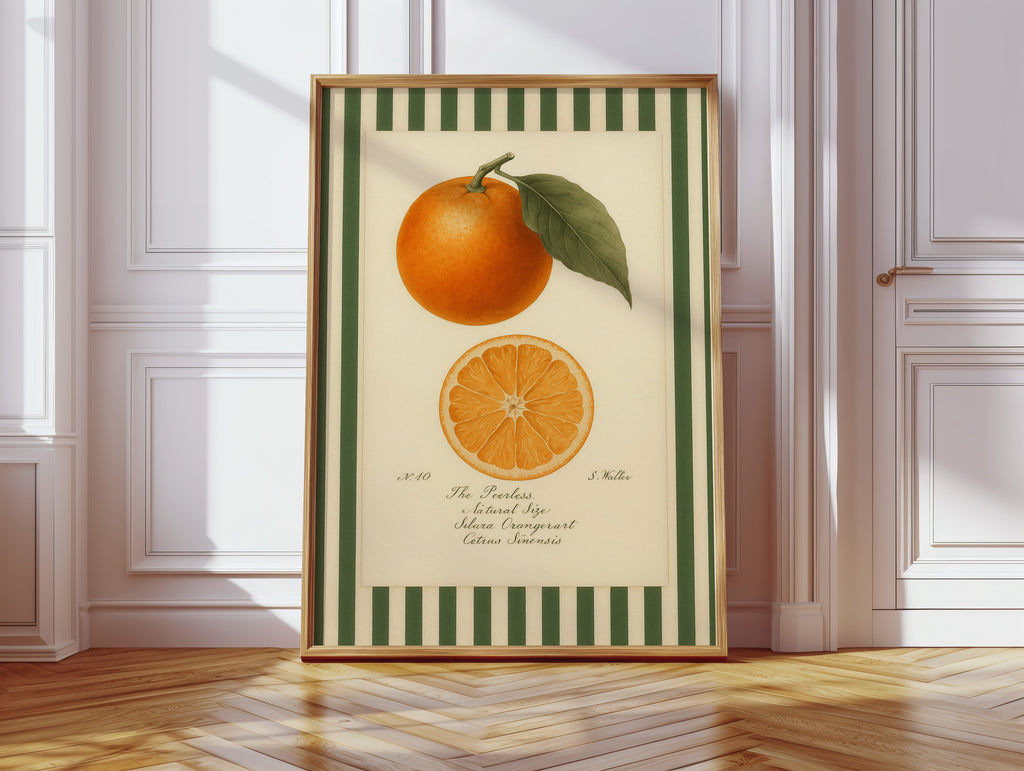 WONDERWALL 'L’Atelier Fun Collection' Vintage Orange Slice Botanical Study
