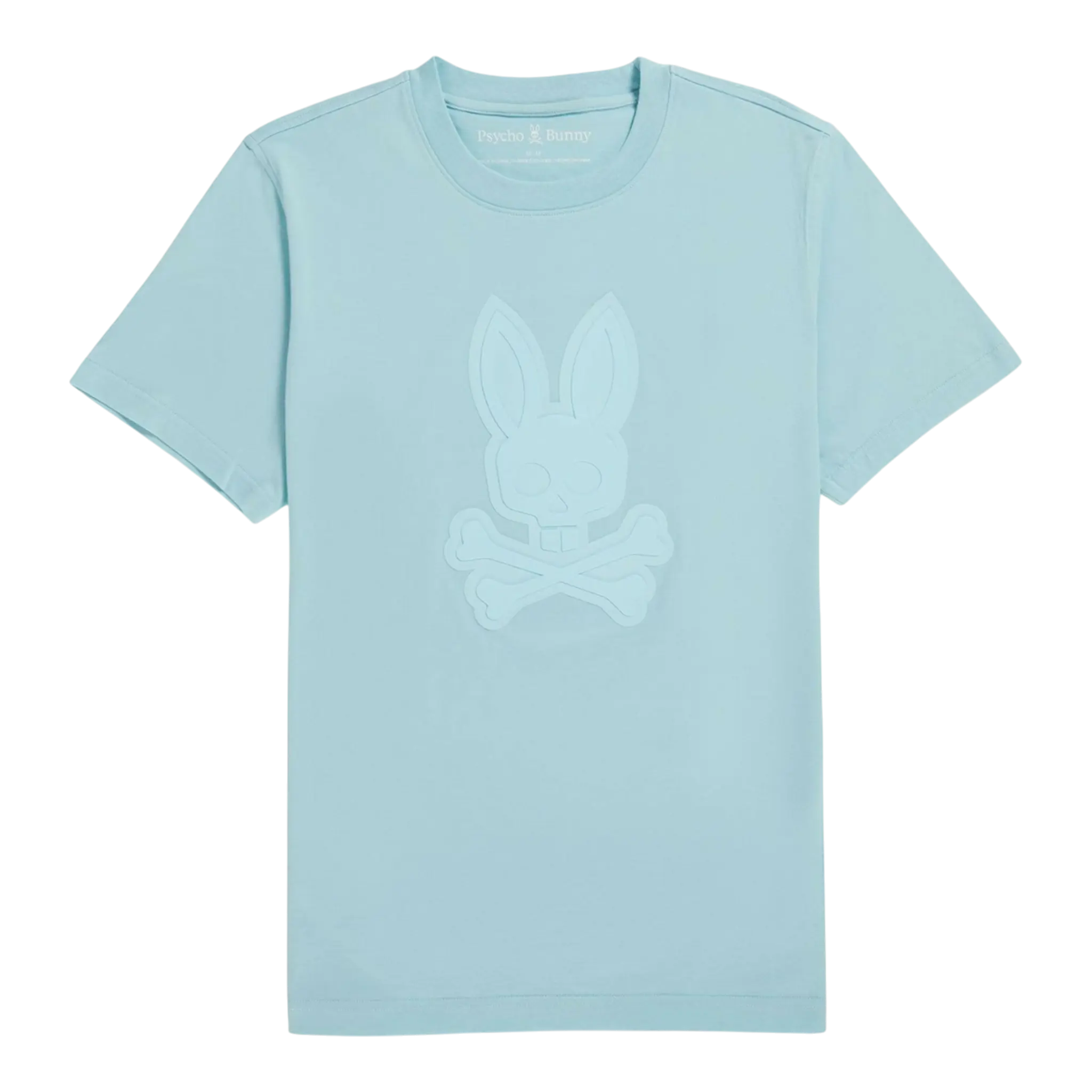 Psycho Bunny Damon Graphic Men T-Shirt Seafoam