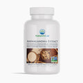 KSM-66® Ashwagandha Extract - 120 Capsules