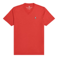 Psycho Bunny Classic V-Neck Men’s T-Shirt – Navy