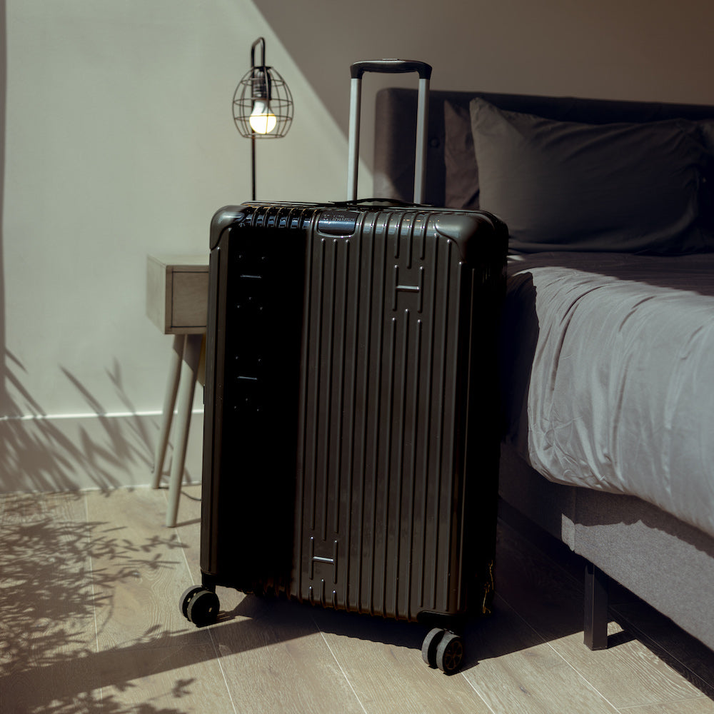 Check-In Luggage
