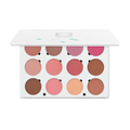 Pro Palette - Blush