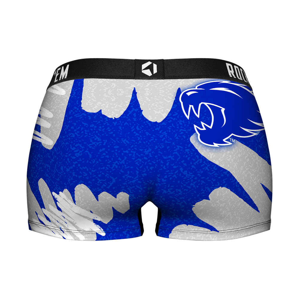 Kentucky Wildcats - Team Blast Women's Boy Shorts