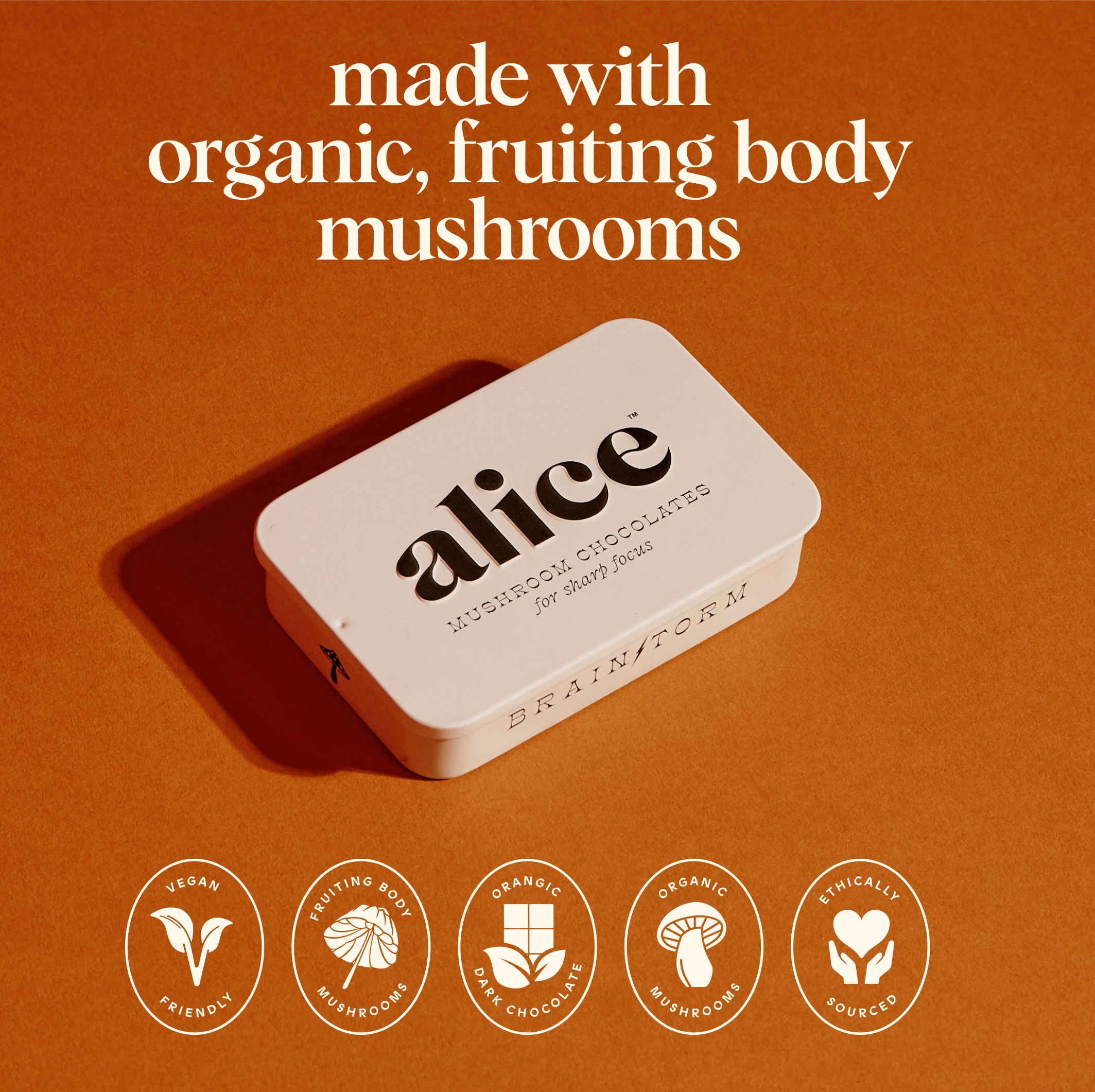 Brainstorm Single Tin