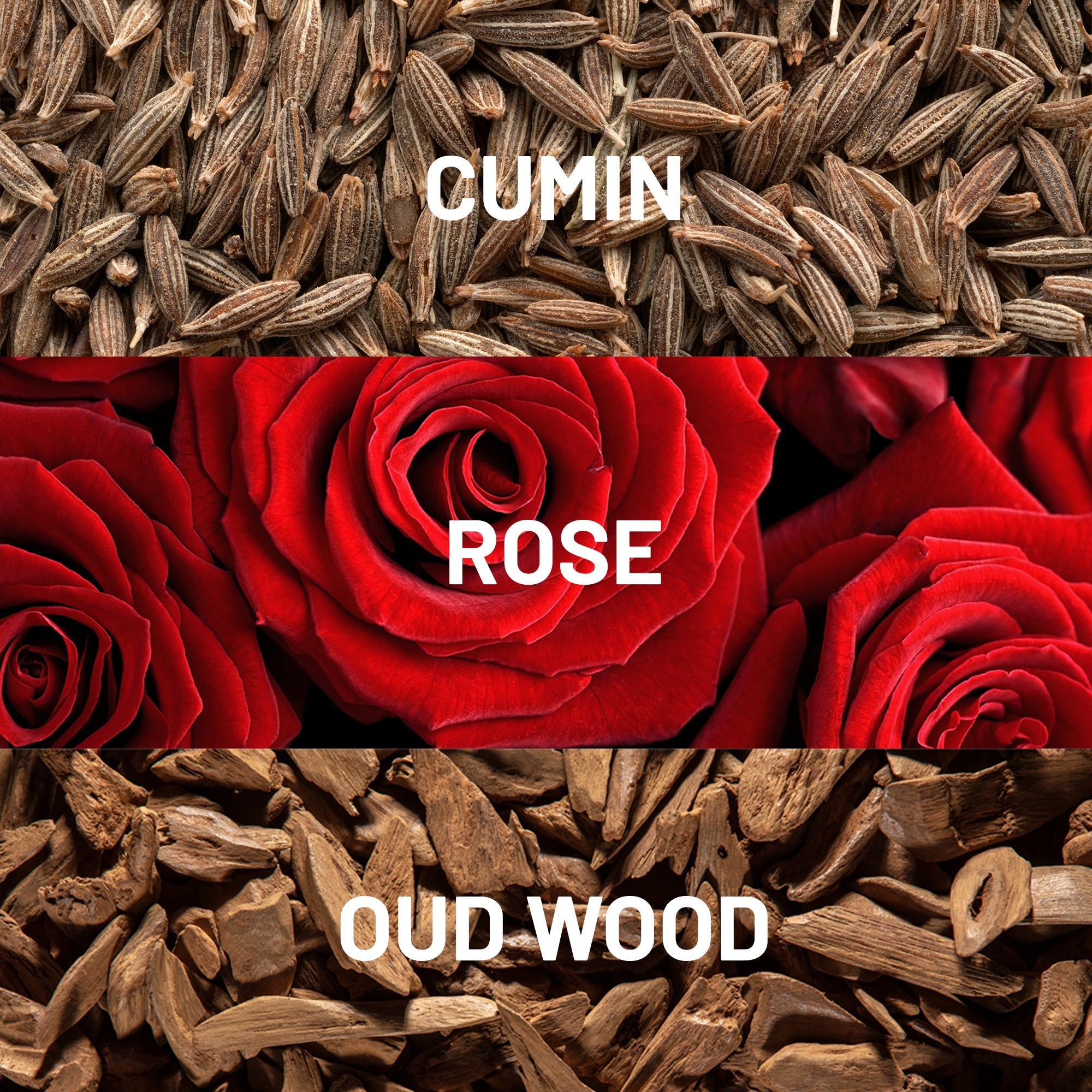 Desert Rose™ Luxury Diffuser Oil