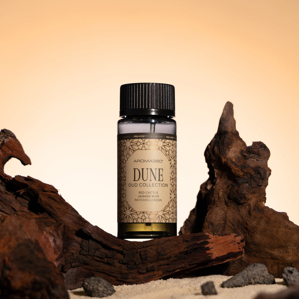 Dune