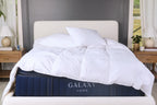 Cloud Fill Down Duvet Insert