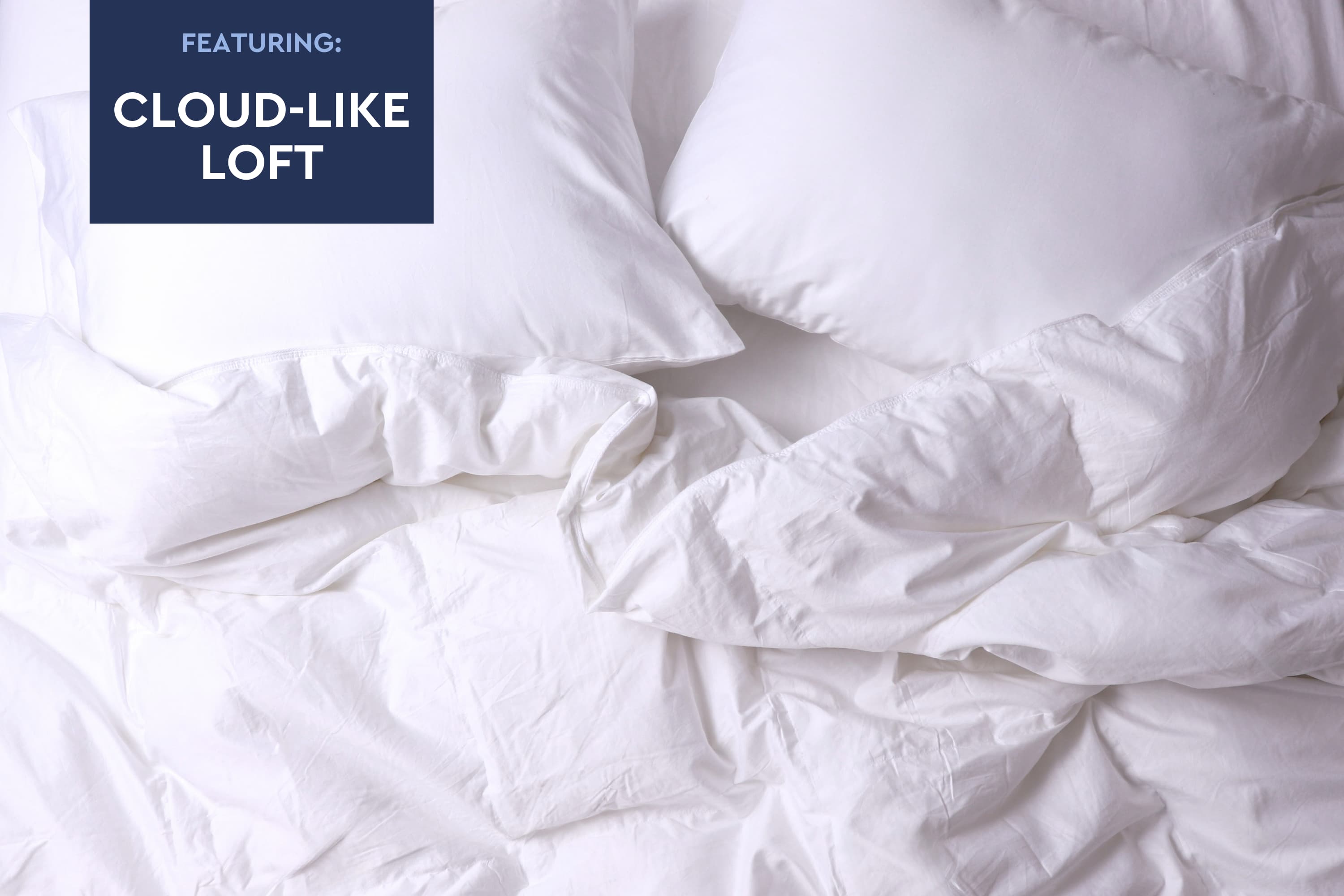 Cloud Fill Down Duvet Insert